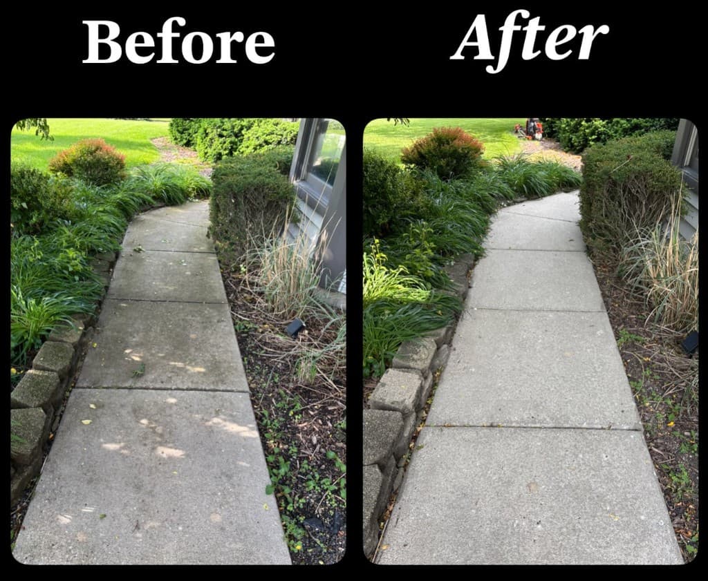 Before and after: concrete walkway cleaned