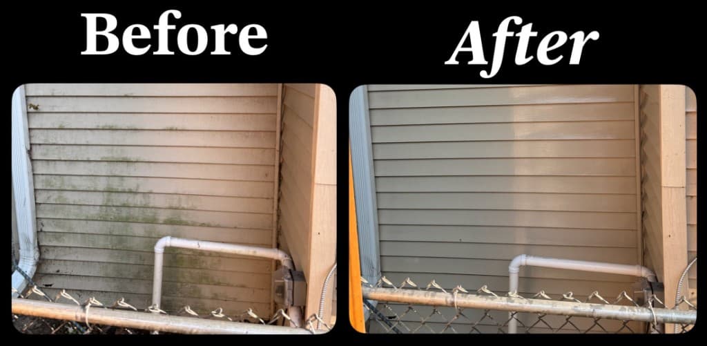 Before and after: siding algae removal