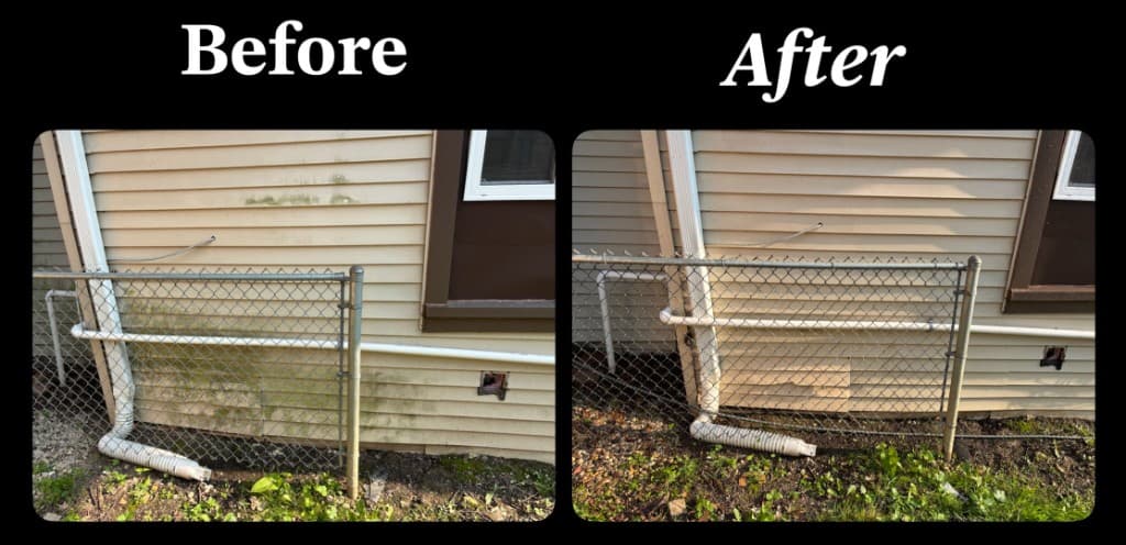 Before and after: house wash results